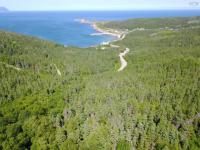 Minerva MacInnis | White Point Road, New Haven, Nova Scotia B0C 1P0