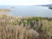 Minerva MacInnis | Bay St Lawrence Road, Aspy Bay, Nova Scotia B0C 1G0