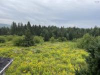 Minerva MacInnis | 6371 HIGHWAY 395 Highway, Southwest Margaree, Nova Scotia B0E 3H0