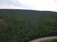Minerva MacInnis | 3 White Point Road, White Point, Nova Scotia B0C 1N0